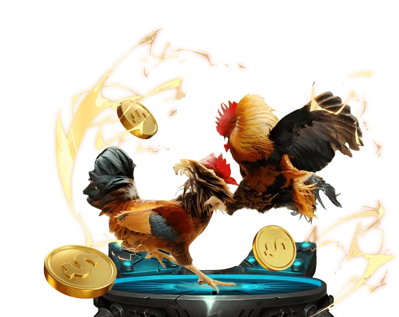 Quy tắc cá cược thể thao ae888 đăng ký